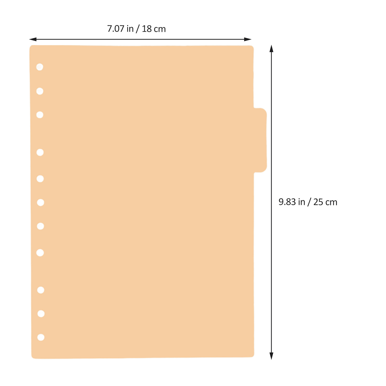 5 قطع من فواصل الملفات البلاست - مراجعة Index Tab Divider وسعره